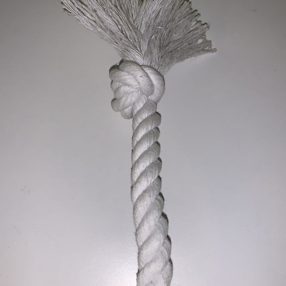 2 squeaky dog toys, Hershey kiss with rope - Picture 7 of 8